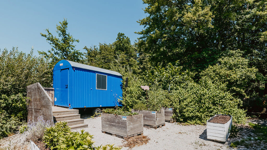 Blauer Bauwagen neben mehreren rechteckigen Hochbeeten aus Holz auf Kiesfläche, umgeben von Bäumen.