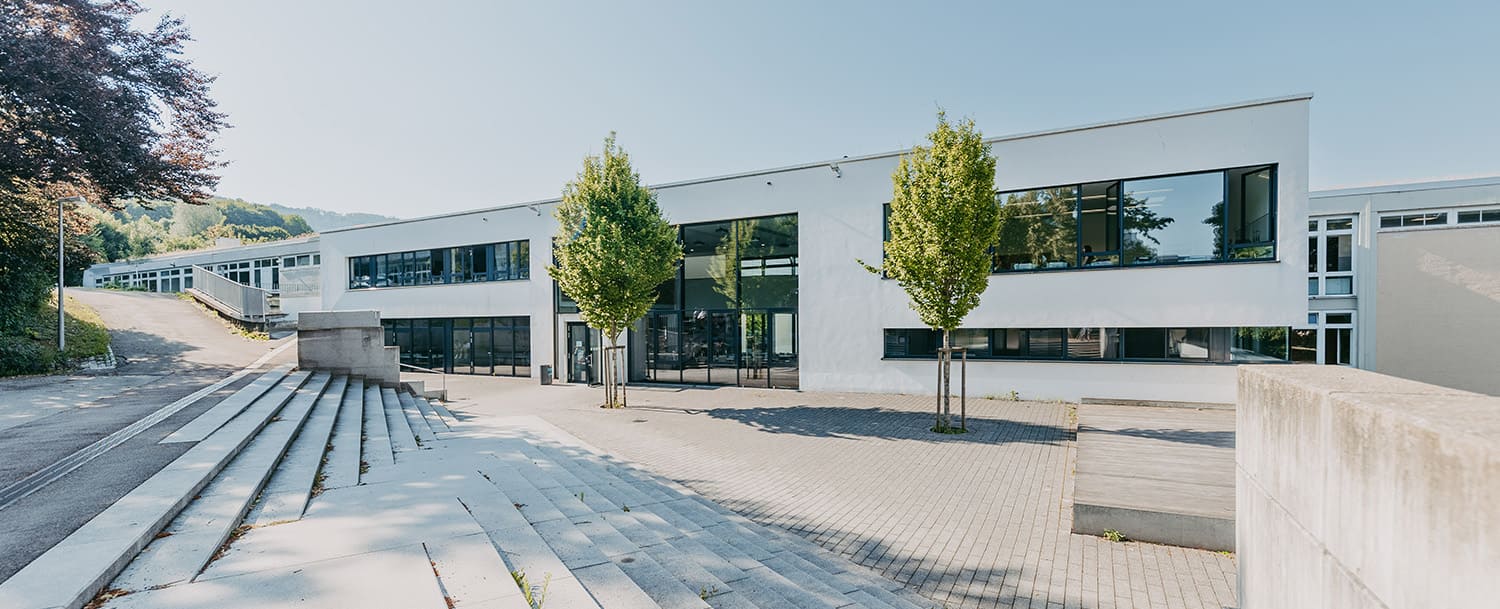 Moderner Schulhof mit gepflastertem Boden, zwei Bäumen und einem weißen, Schulgebäude mit großen Fenstern.